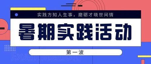 實事(shi)求(qiu)是(shi) 經(jing)濟(ji)學院暑期社(she)會實踐(jian)風(feng)采展（二(er)）——社(she)會經濟(ji)咨詢(xun)服(fu)務(wu)